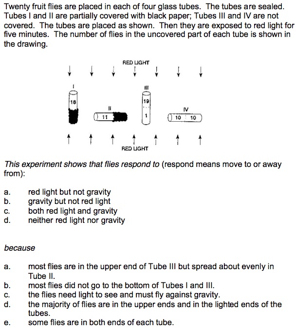 Who am i essay outline